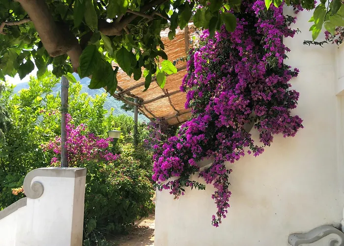 Bed and Breakfast Casa Flora Vietri